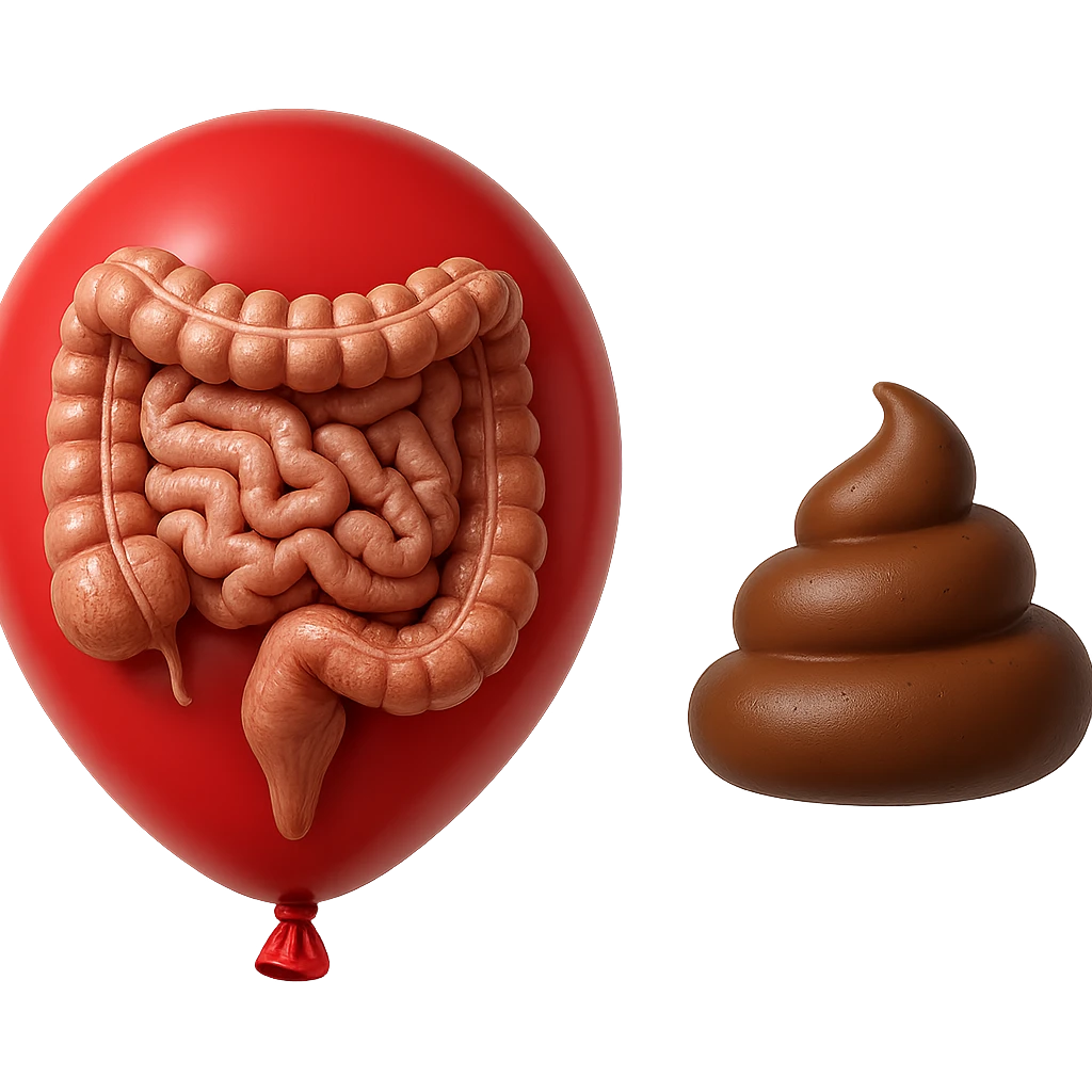 intestino umano anatomico chiuso in un palloncino rosso che simboleggia gonfiore, accanto un simbolo di cacca che simboleggia "diarrea", iperrealistico 4k emoji