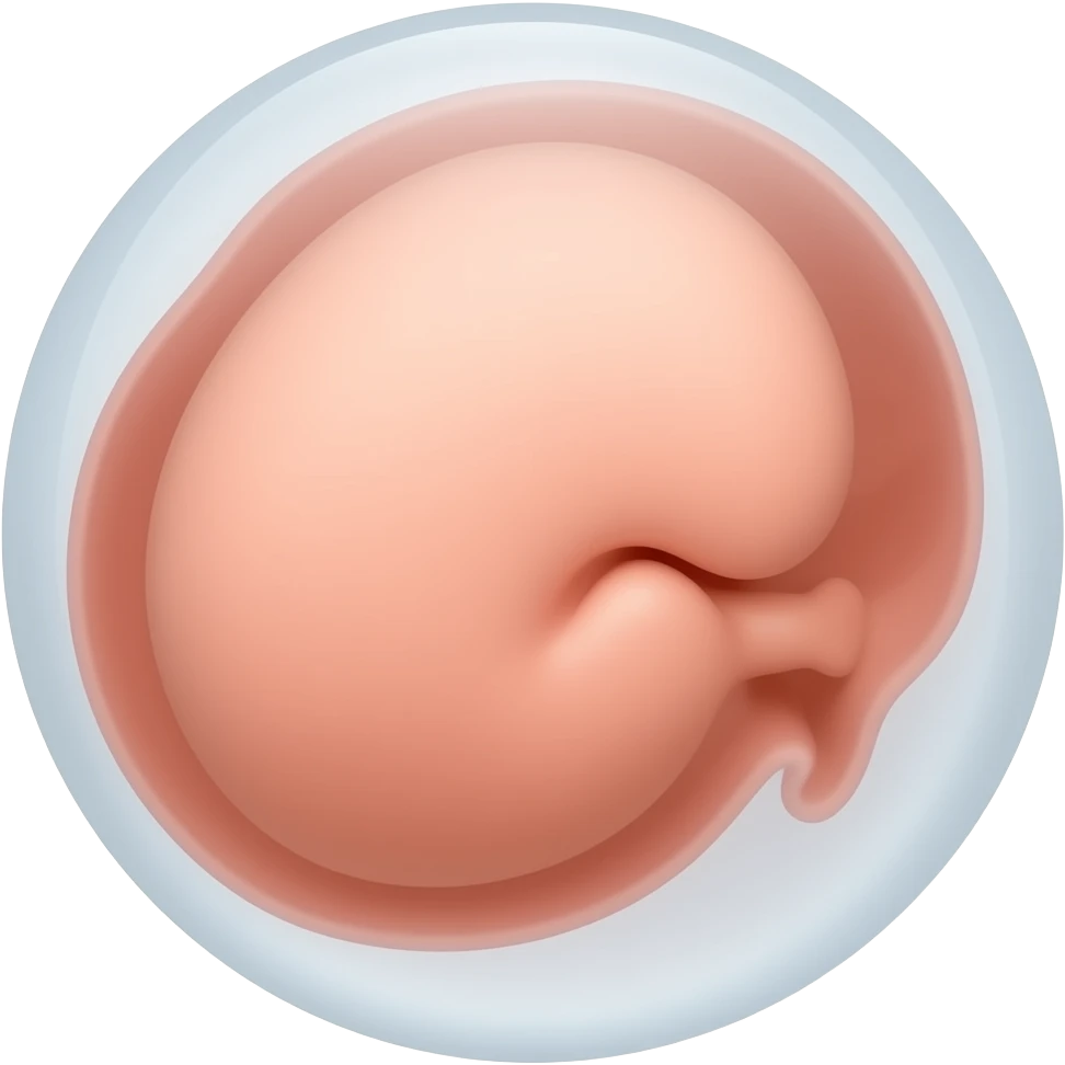 embryo emoji