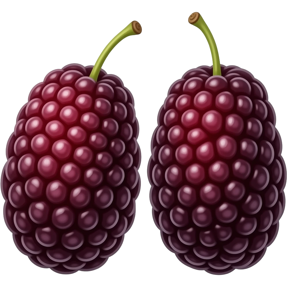 Two long mulberries emoji