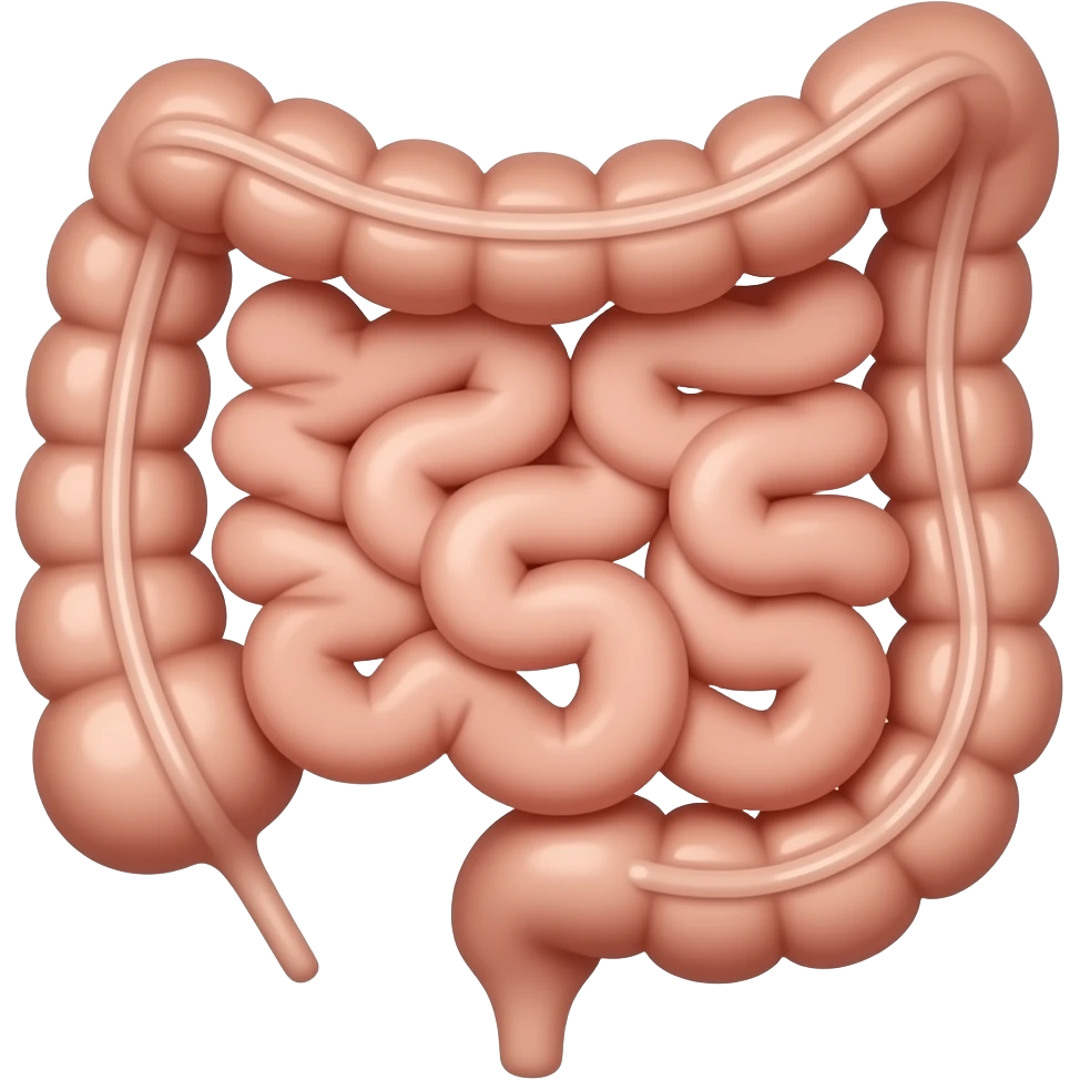 appendix in bowel anatomy image emoji