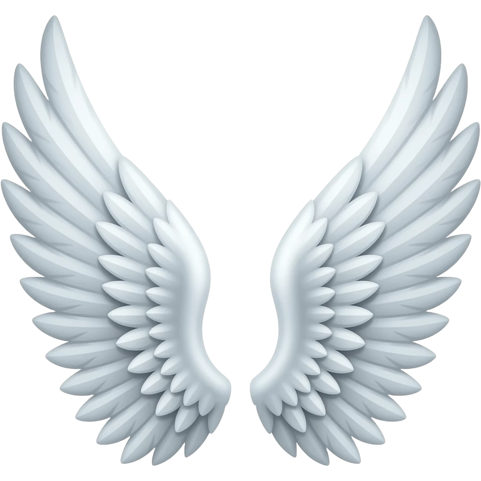 Pair of white wings emoji