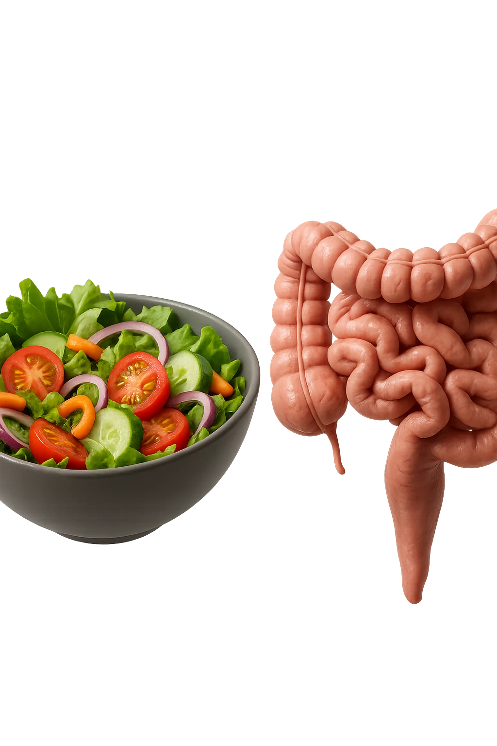 bowl di insalata fluttua in aria insieme ad intestino umano anatomico realistico, IPERREALISTICO 4K emoji