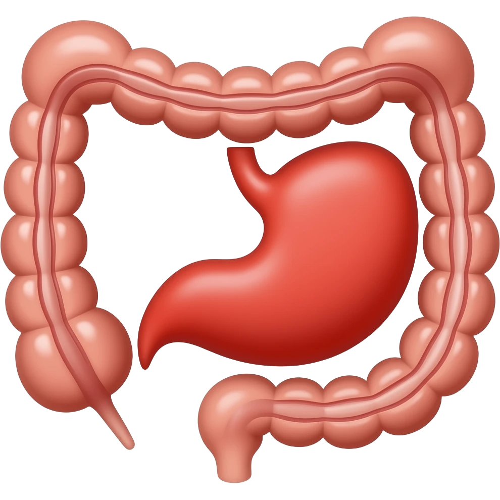 red appendix in bowel anatomy image emoji