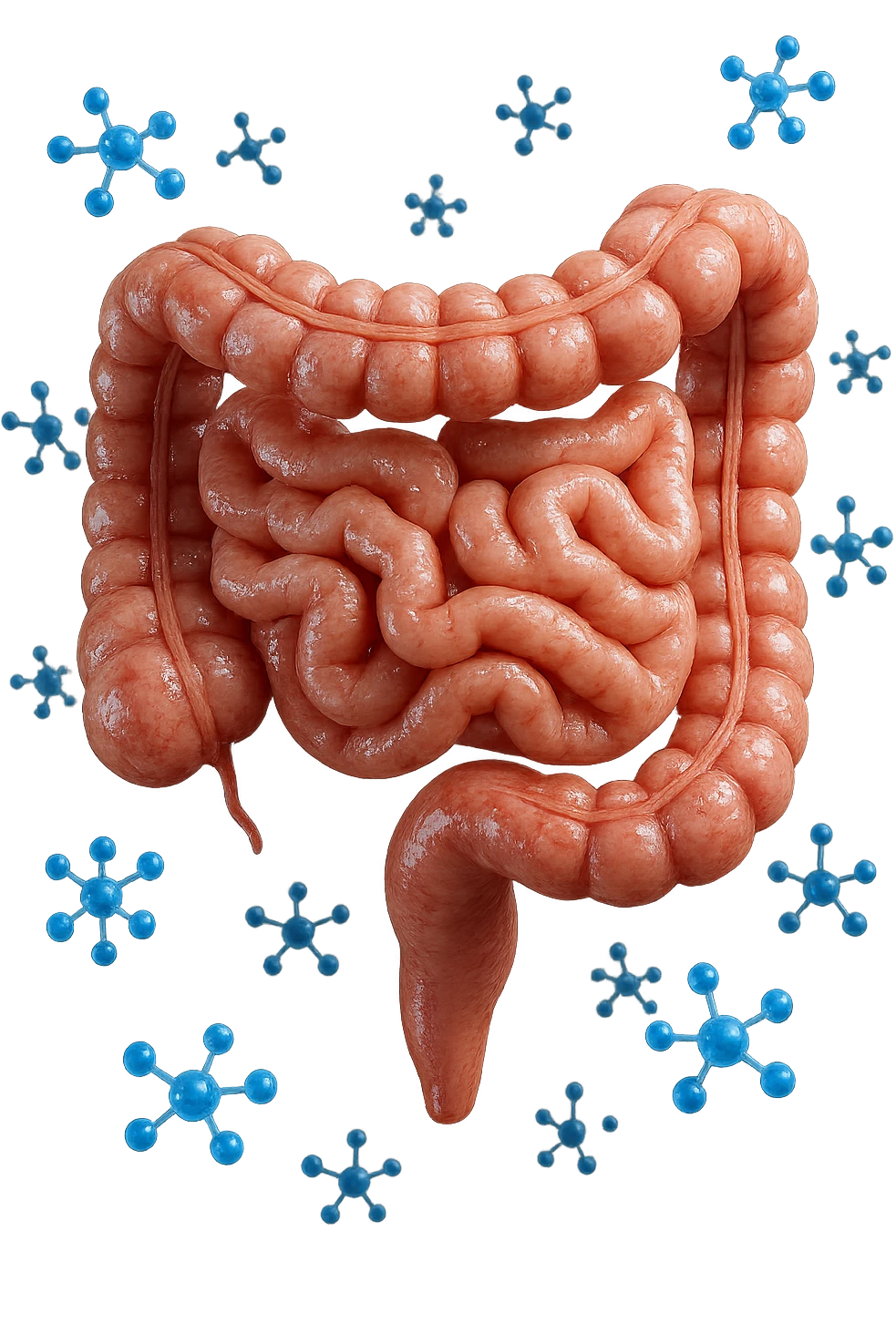 INTESTINO UMANO ANATOMICO CON MOLECOLE CHIMICHE BLU IN 3D CHE GLI FLUTTUANO INTORNO, IPERREALISTICO 4K emoji