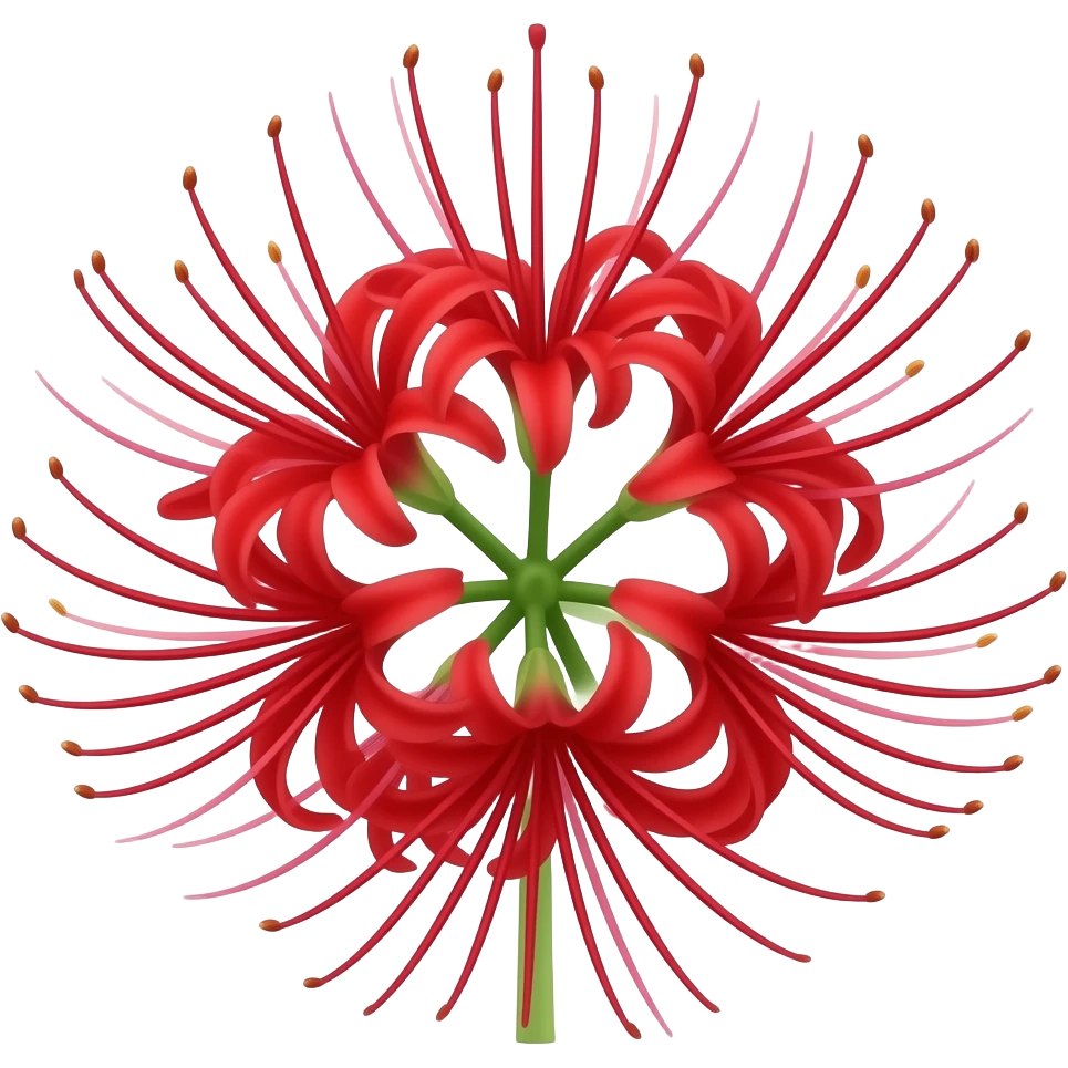 Red spider lilly emoji