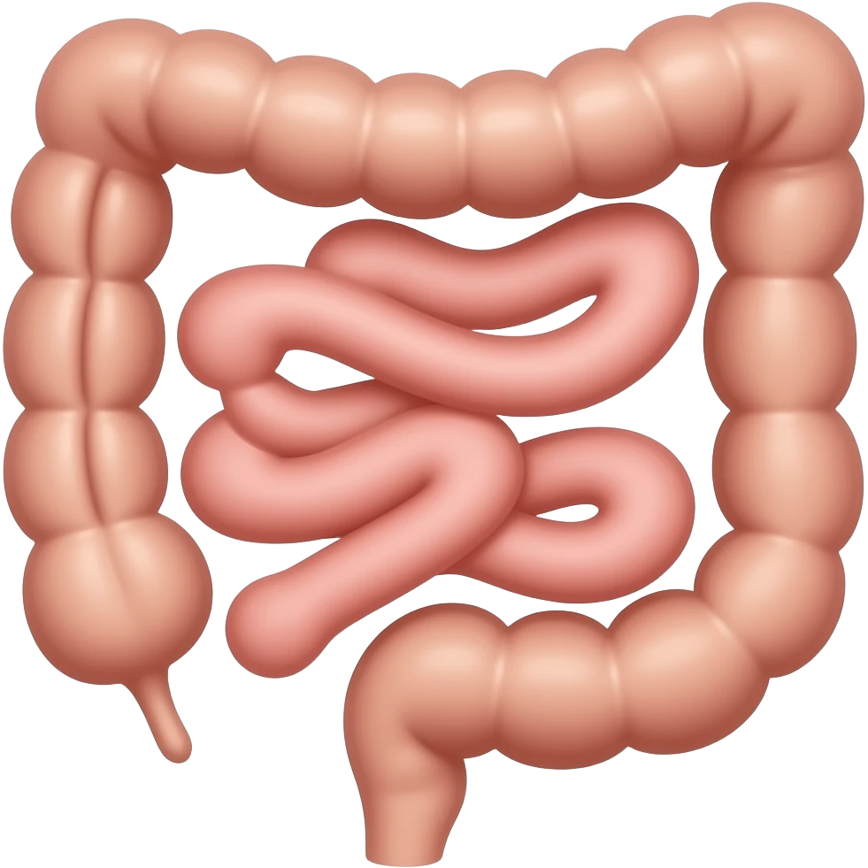 chimo e chilo intestino emoji