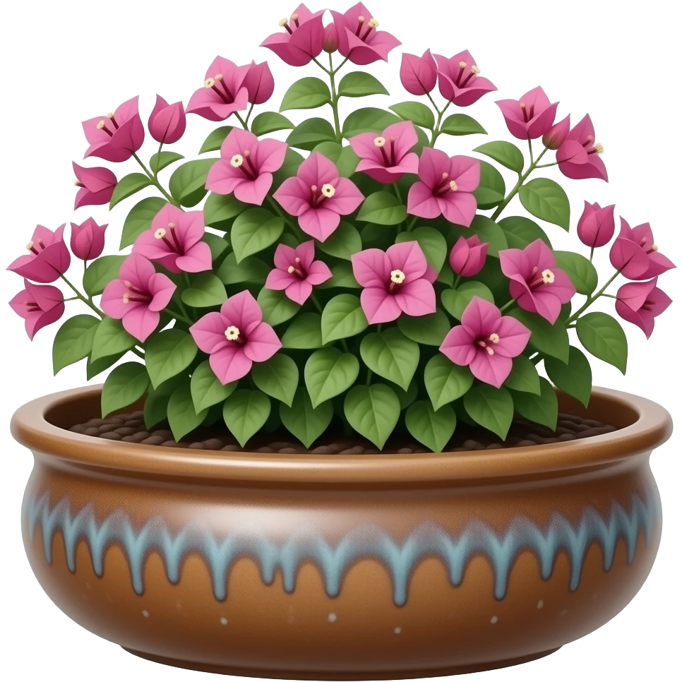 Create an elegant and decorative oval ceramic planter, similar to a bonsai. The planter has a wide mouth and a low height. It is glazed in brown and contains a bougainvillea plant. The background is white. Illustration style: Cartoon – Art Deco – 2D emoji
