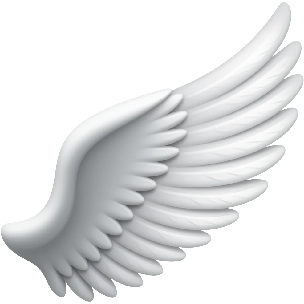 🪽 that in left side emoji