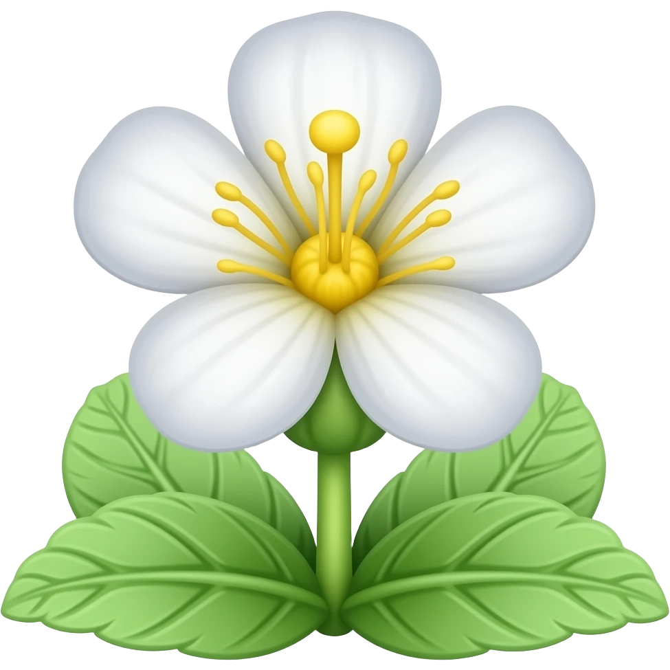 Orthosiphon plant with flower emoji