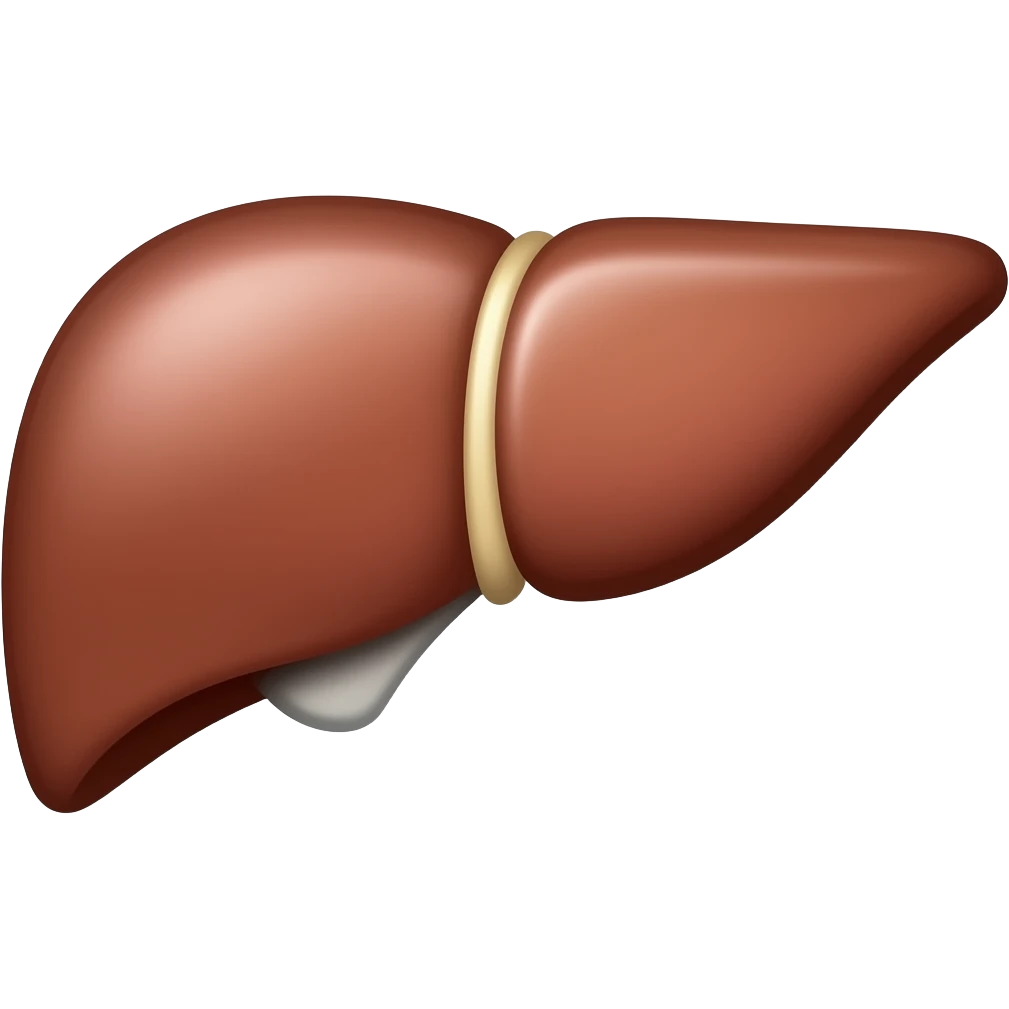 anatomia del fegato emoji