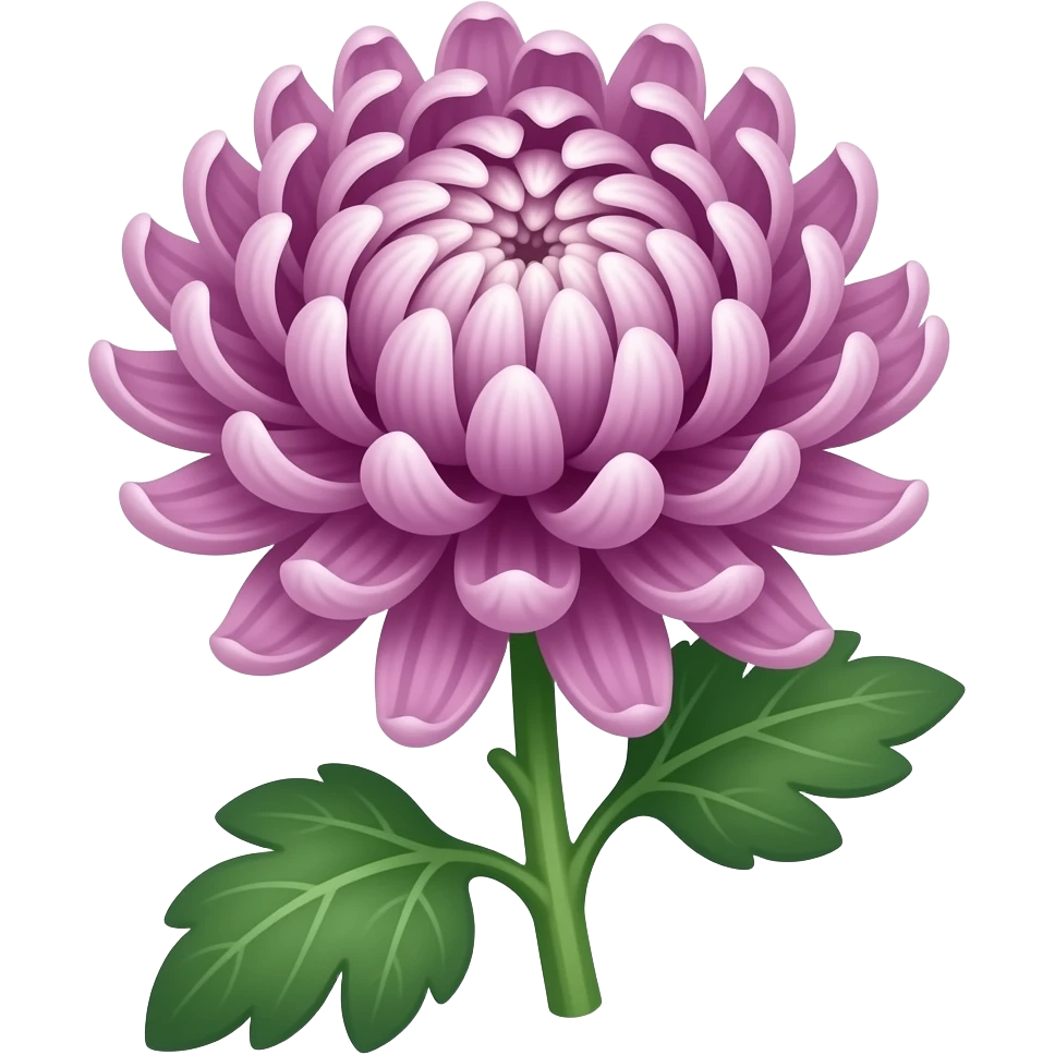 Elegant Mauve japanese chrysanthemum with stem and leaves emoji