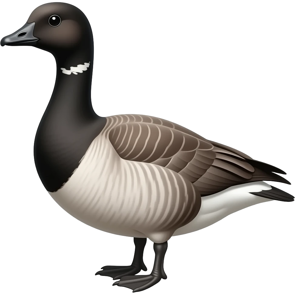 brant goose emoji