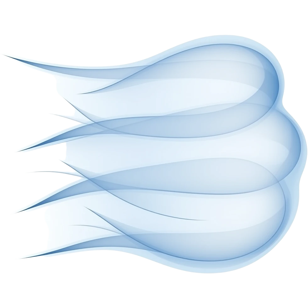 Wind illustrated as lines emoji