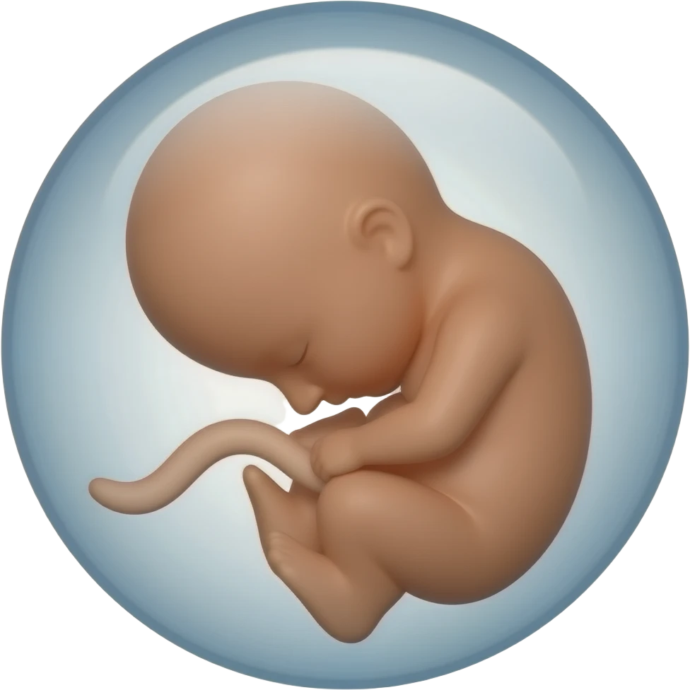 Embryo emoji