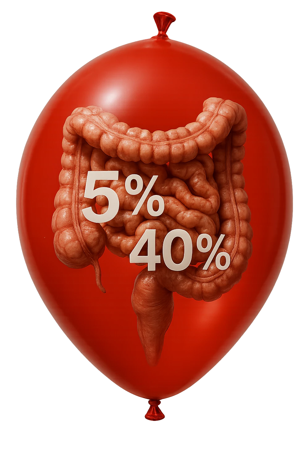 intestino umano anatomico chiuso in un palloncino rosso con la scritta 5% e 40% dentro insieme all'intestino, iperrealistico 4k emoji