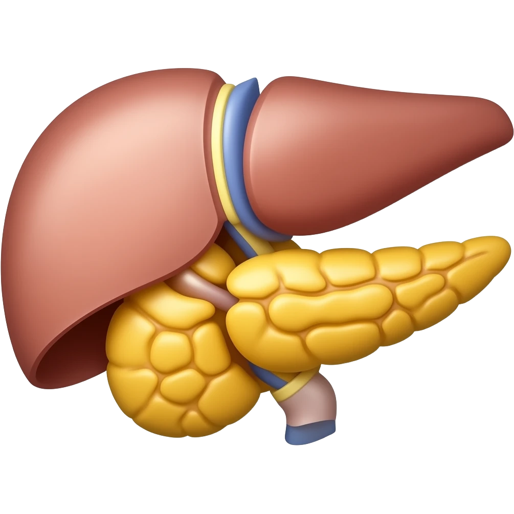 pancreas anatomic image emoji