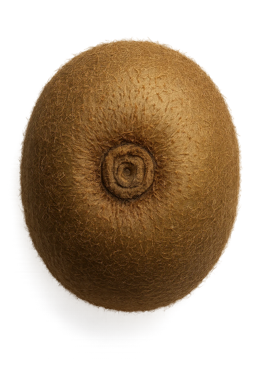 kiwi visto dall'alto, iperrealistiche 4k emoji