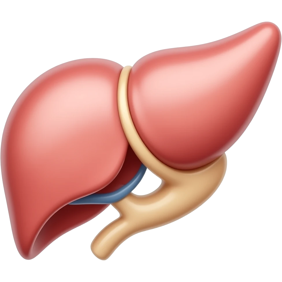 draw an anatomical spleen emoji
