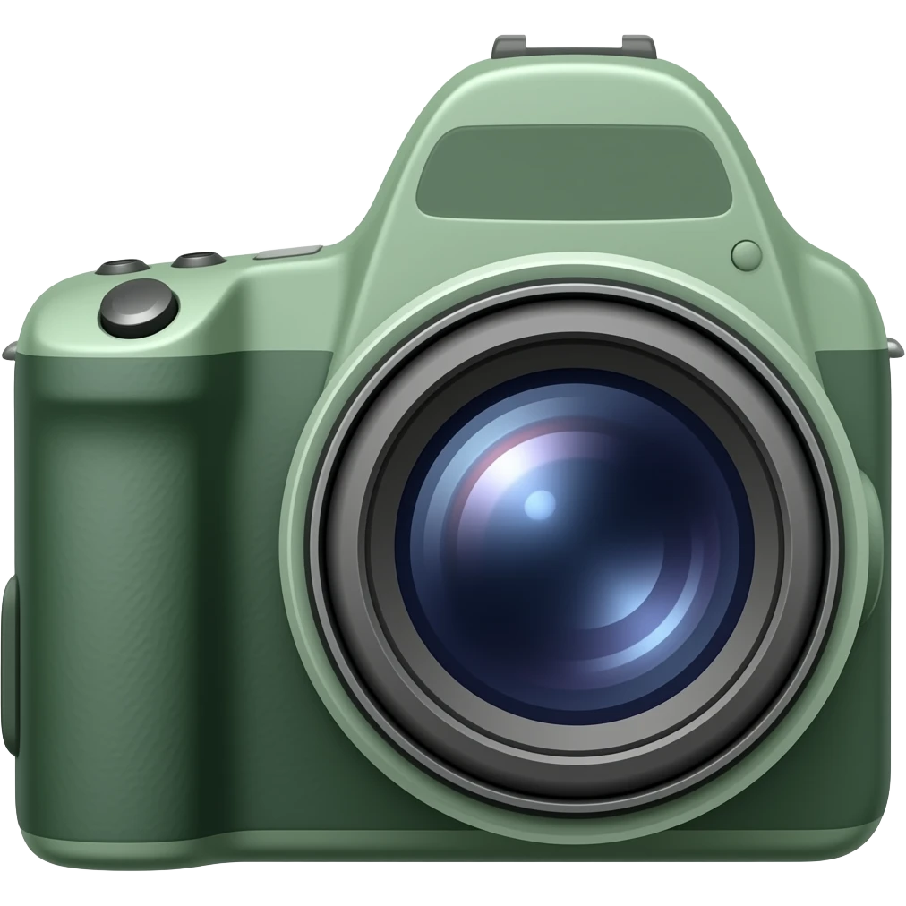 camera with flash with dark olive green emoji