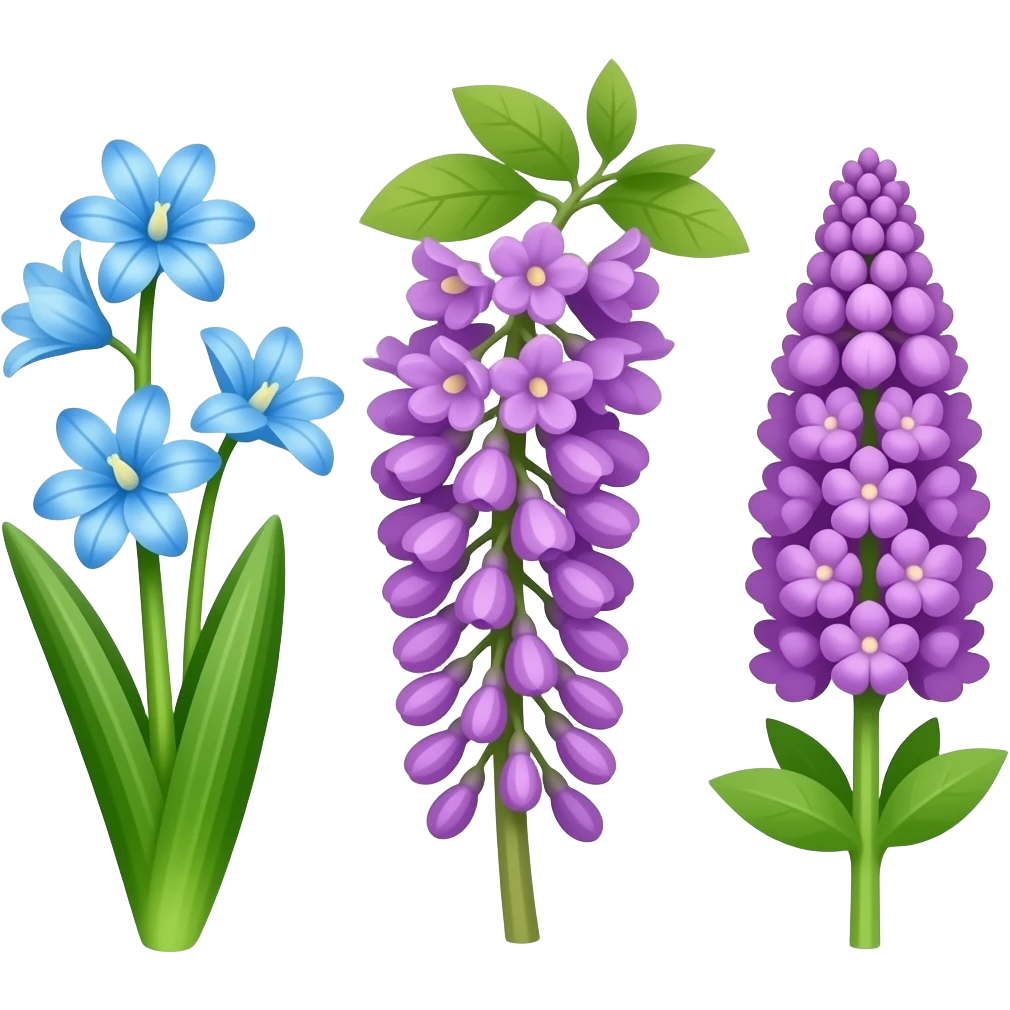 Scilla, wisteria, lilac, lavender emoji