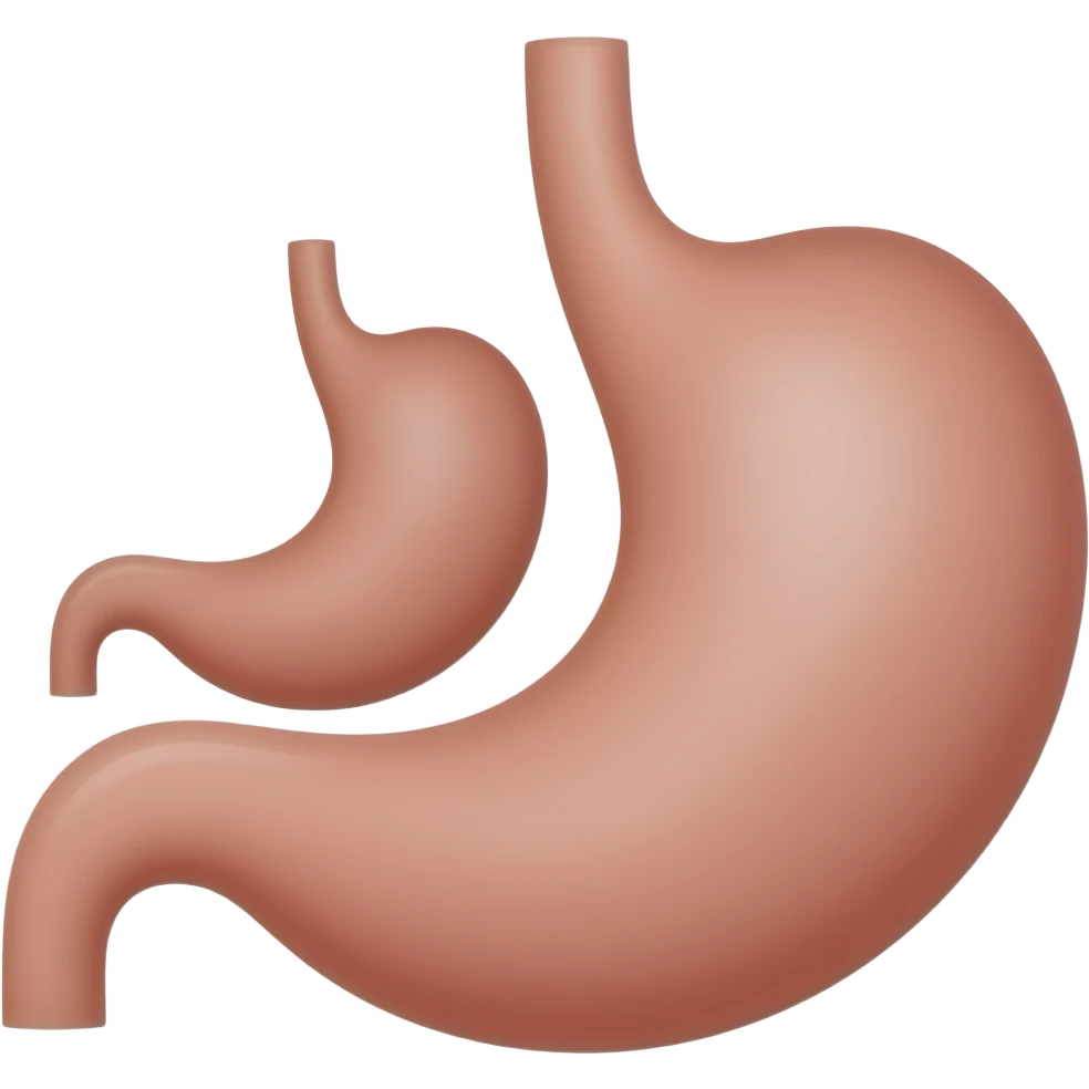 Two stomachs connected emoji