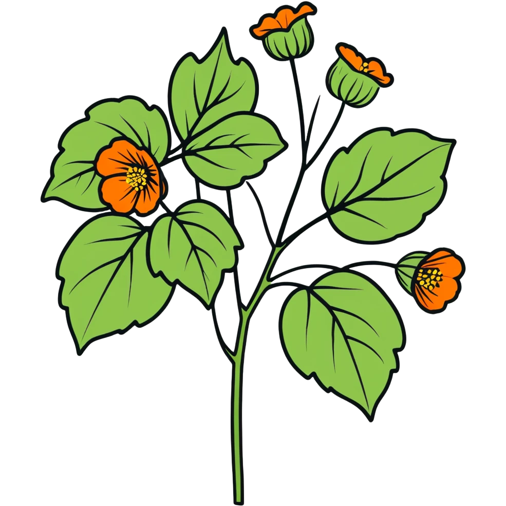Abutilon hyperrealistic plant in full bloom, isolated vector die-cut sticker, with clean smooth lines, 4k hd professional quailty, 300 dpi, no emoji icons, no emoji faces, colorful. emoji