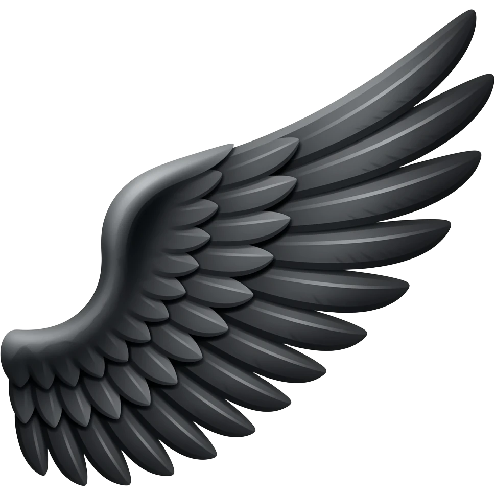 The basic angel wing emoji, but instead of white, it's black emoji