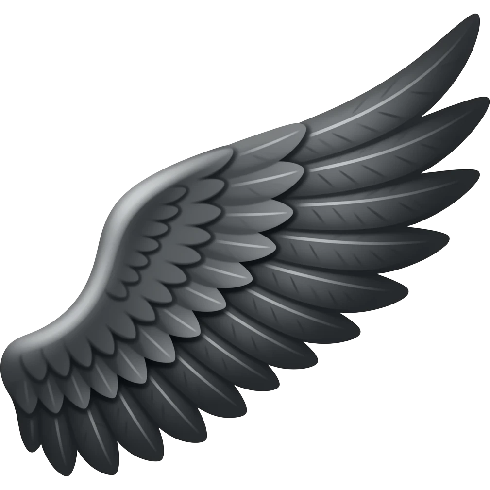 Black wing on the right side emoji