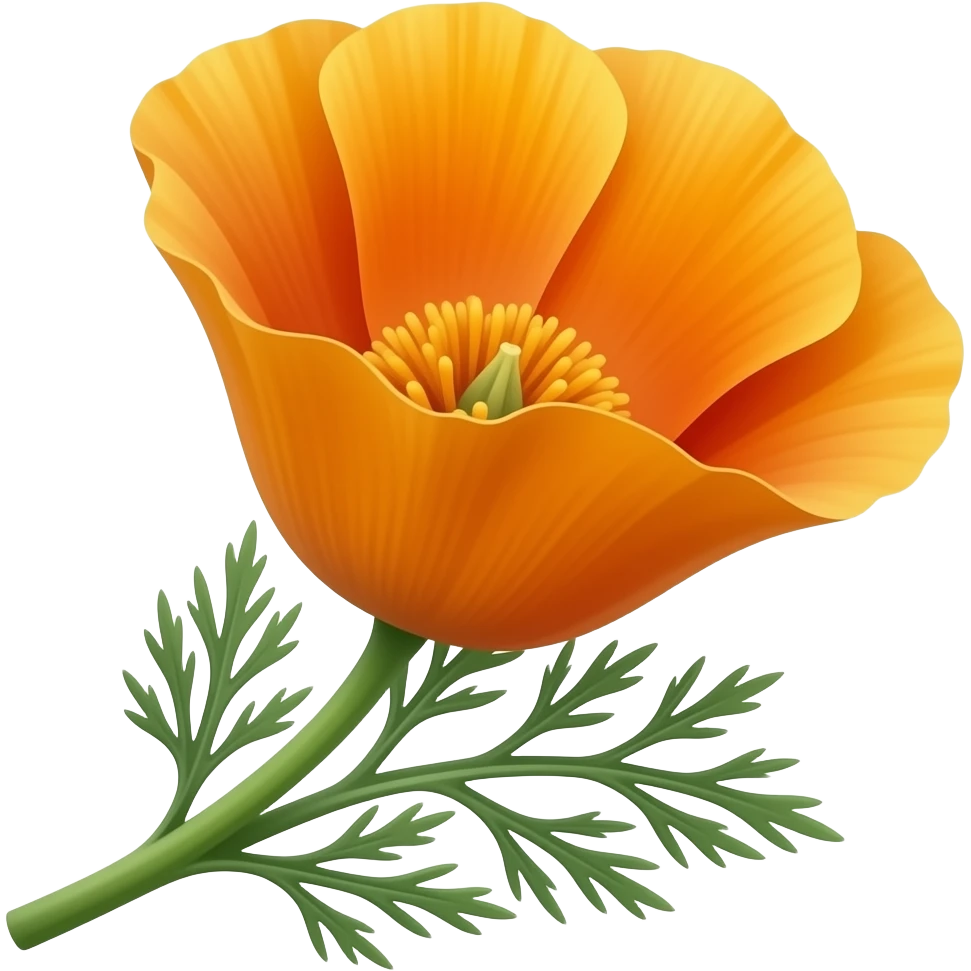 Bright orange California poppy flower with delicate petals, sunny golden center, green feathery stems and leaves, warm sunlight, vibrant and cheerful, blooming with onmmly one stem n oleaves branching on the side NO DAMN LEAvaeso n the SIDE OF HTHAE ASTEM ONE STEM emoji
