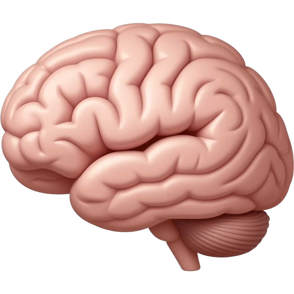 corteza prefrontal emoji