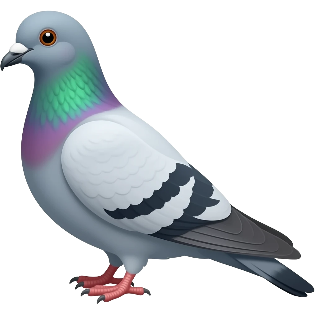 pigeon emoji