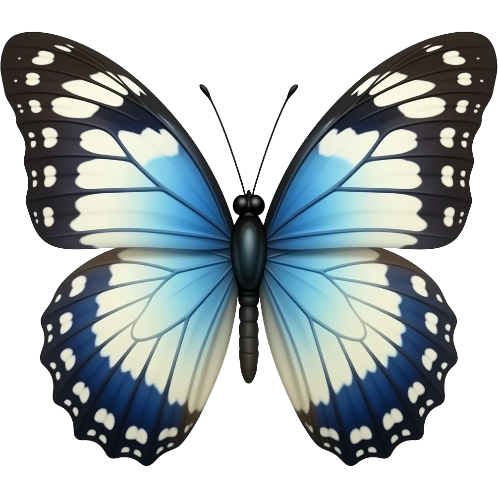 Different colour butterfly emoji emoji