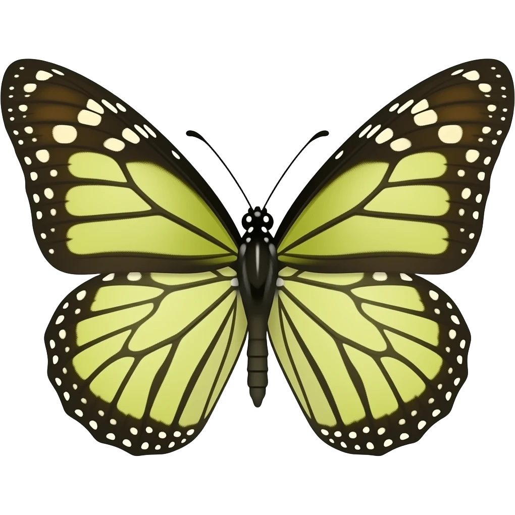 camera with butterfly emoji