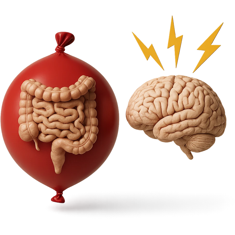 intestino umano anatomico chiuso in un palloncino rosso che simboleggia gonfiore, accanto un cervello anatomico con fulmini vicino che simboleggiano "stress", iperrealistico 4k emoji