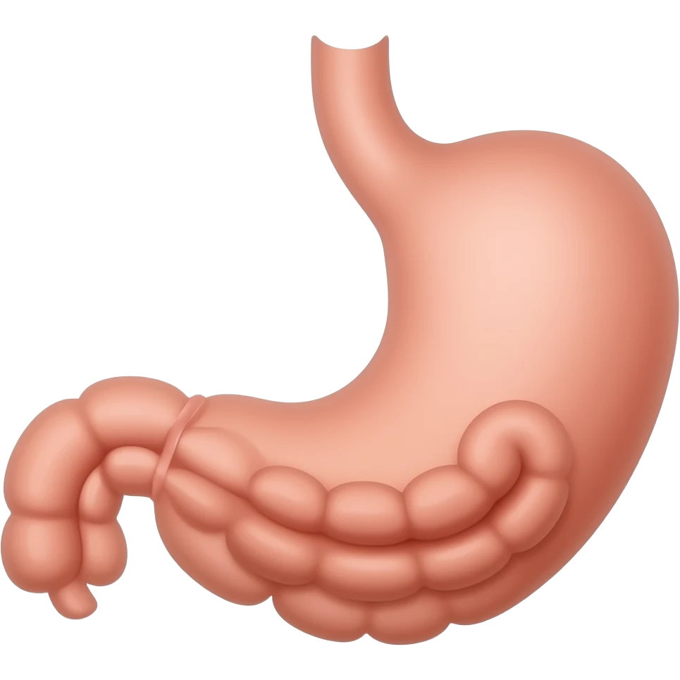 disegna stomaco e duodeno emoji