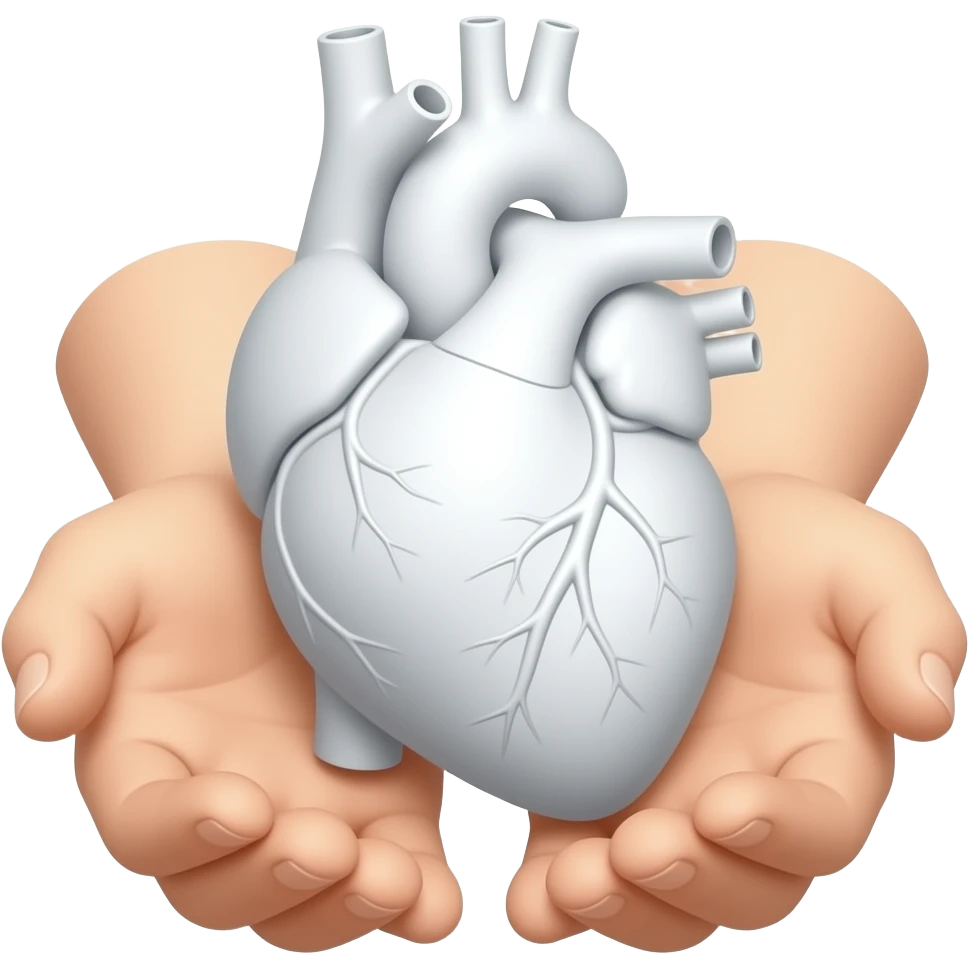 руки по локоть держат анатомическое сердце белого цвета emoji