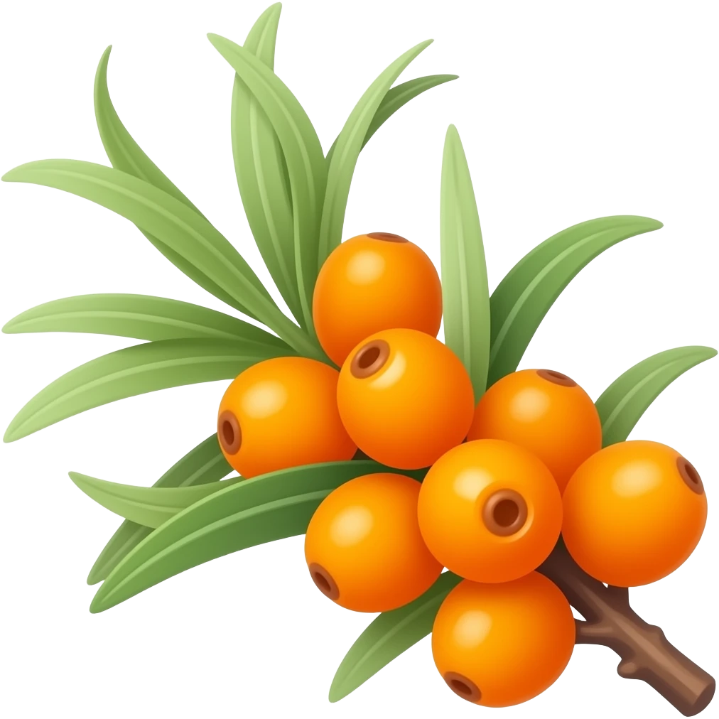 Sea buckthorn emoji