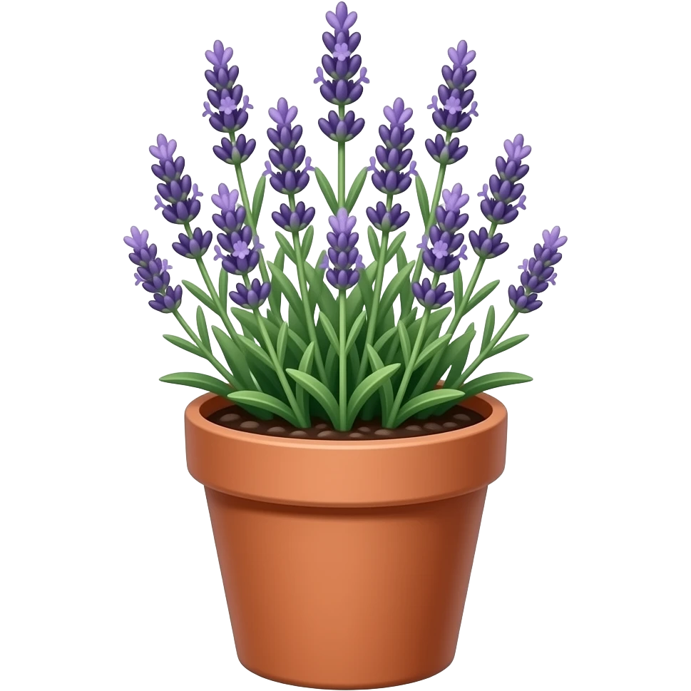 Lavender in a plant pot emoji