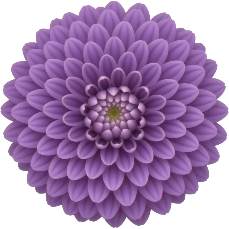 chrysanthemum flower full purple emoji