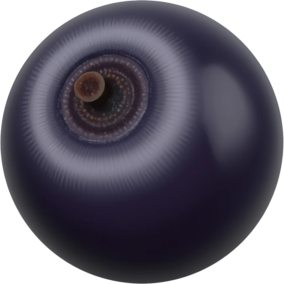 Bobgordonamericanelelderberry fruit emoji