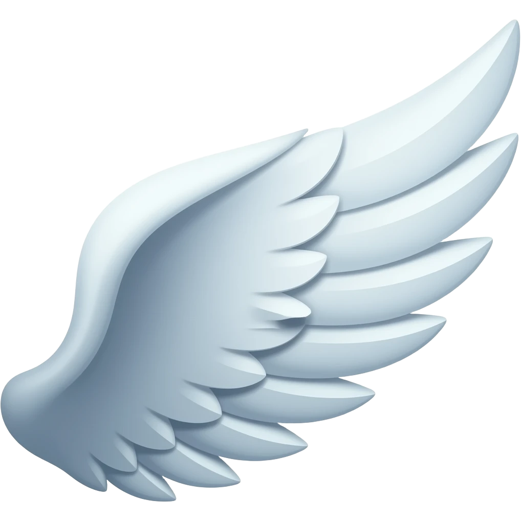 🪽do the opposite wing please emoji