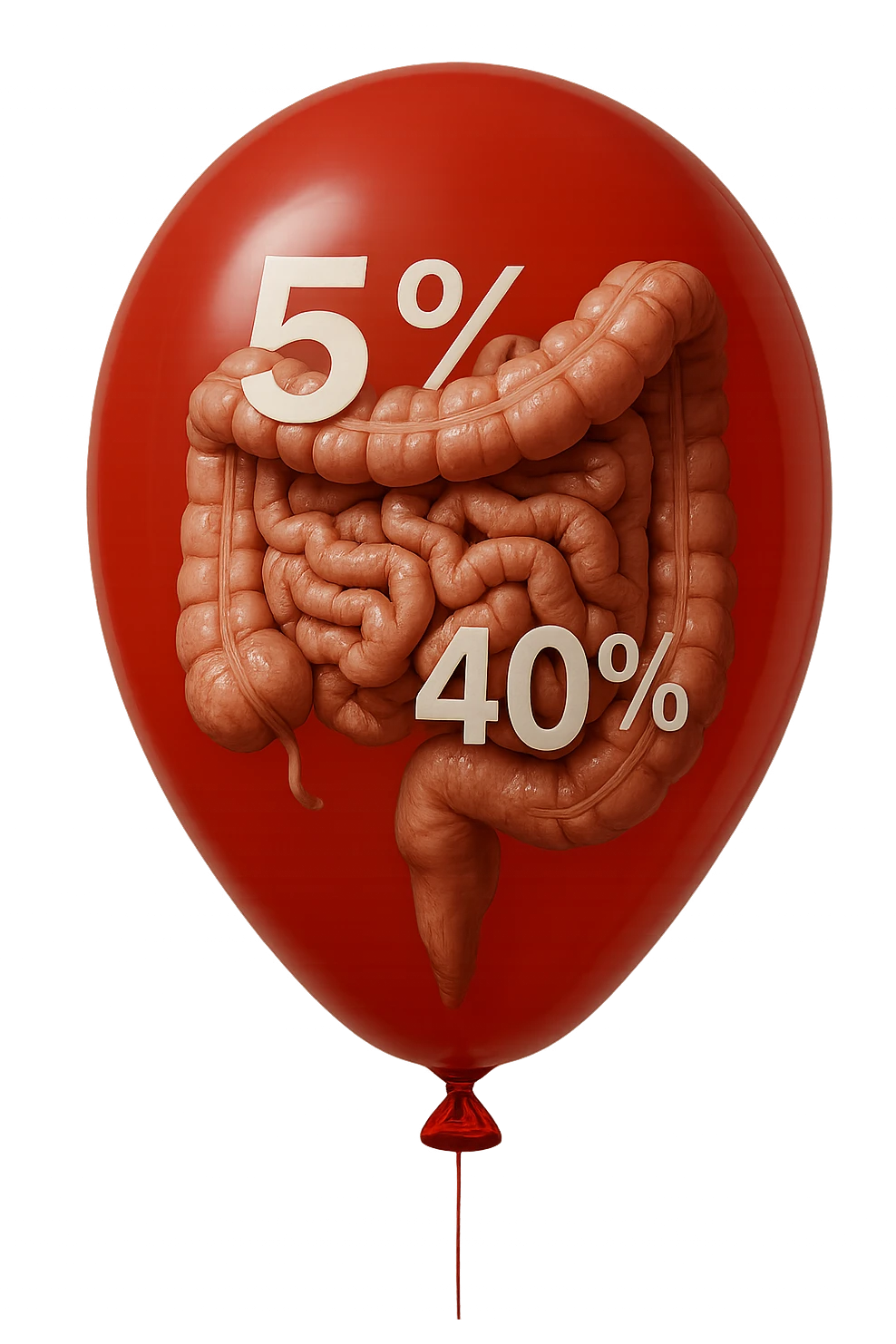 intestino umano anatomico chiuso in un palloncino rosso con la scritta 5% e 40% dentro insieme all'intestino, iperrealistico 4k emoji