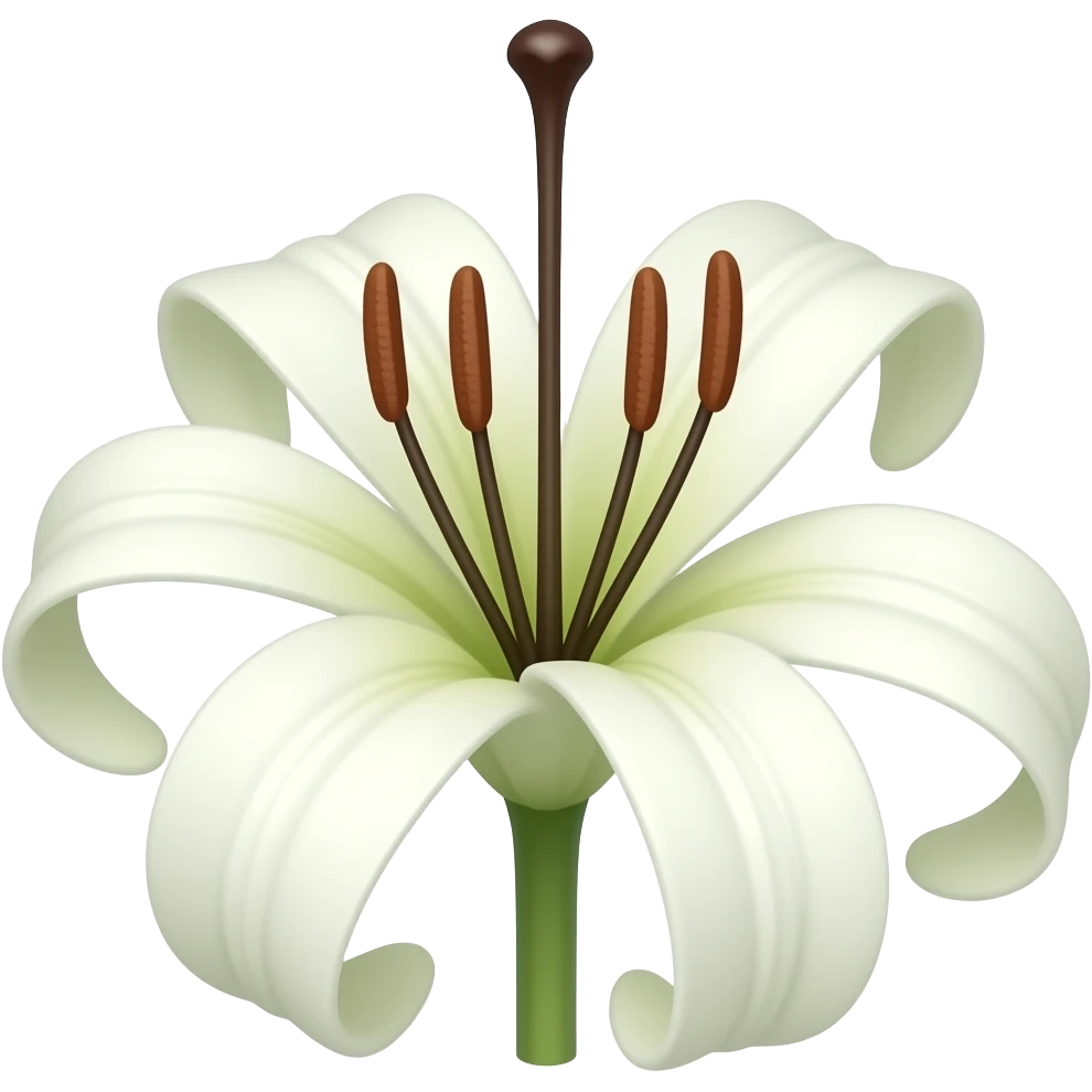 Spider lily  flower emoji