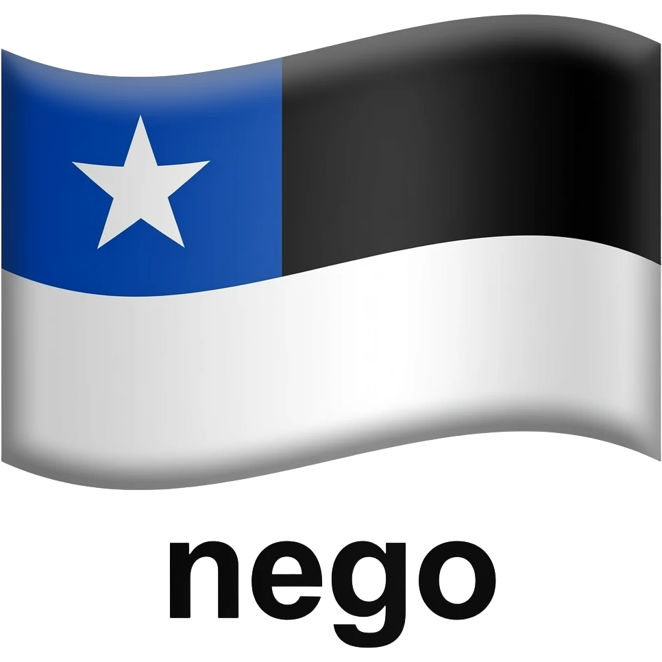 Bandeira do estado da paraiba aquela preto e branco escrito nego emoji