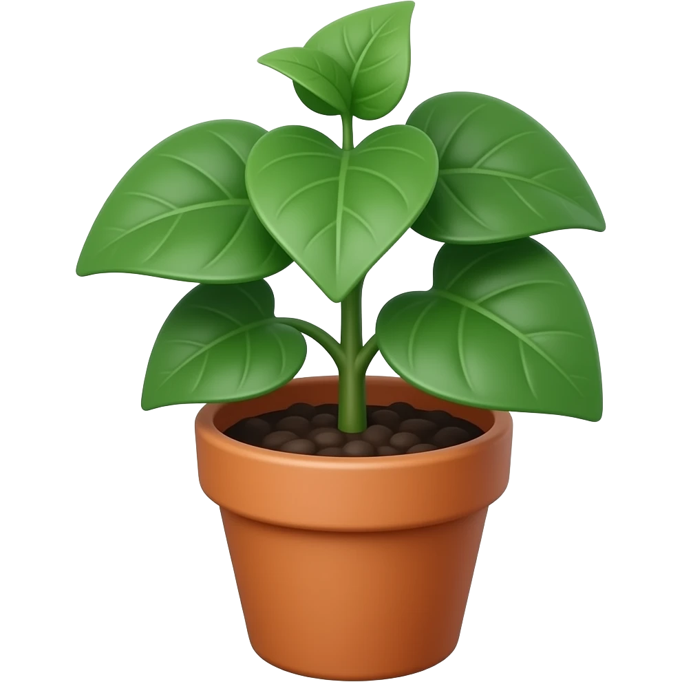 Clusia multiflora plant on a pot emoji