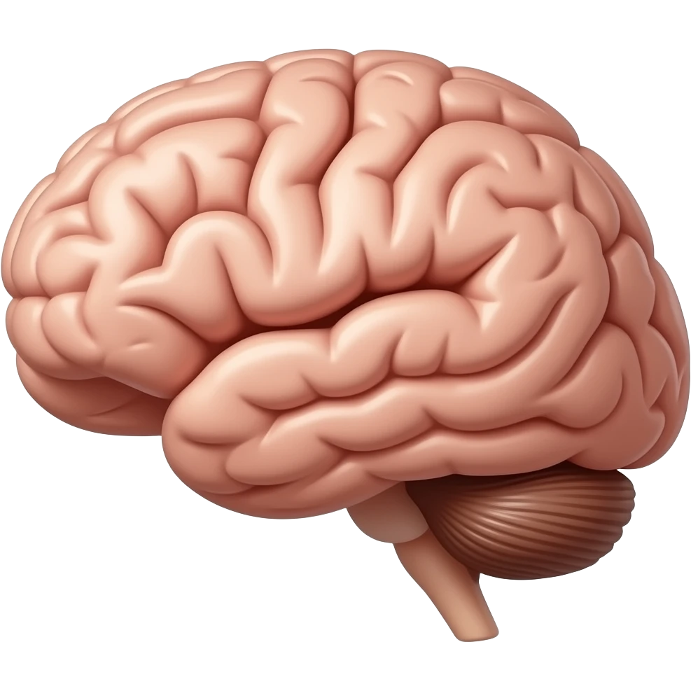 reward system in the brain emoji