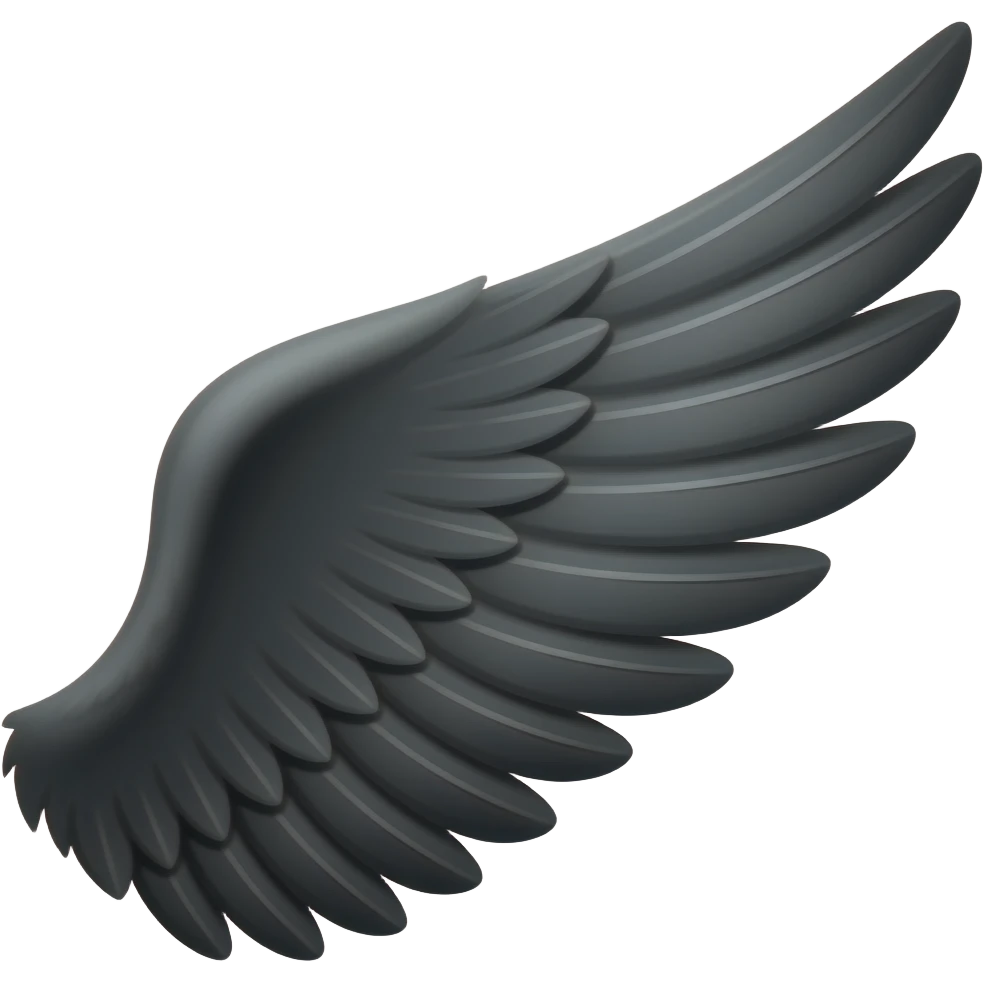Black wing on the right side emoji