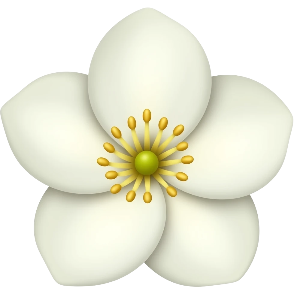 Jasmine flower emoji