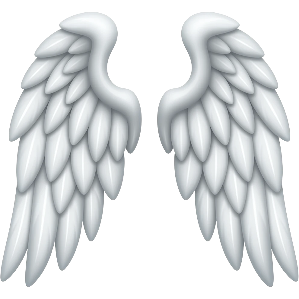 Angel wings ob both sides emoji