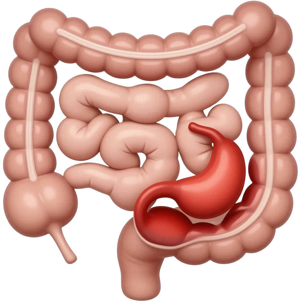 appendix in bowel anatomy image, appendix with red inflamed appearence emoji